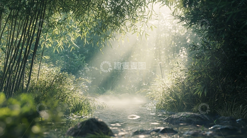 高清大图下载【趣麦麦图】竹林小溪阳光