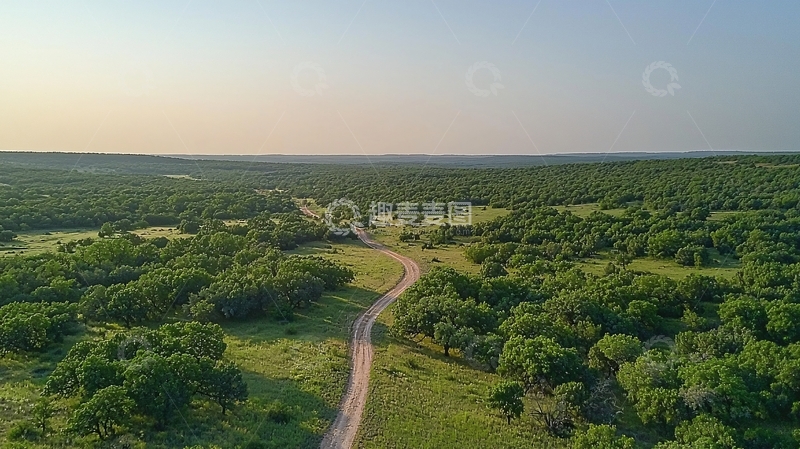 高清大图下载【趣麦麦图】乡间土路蜿蜒穿过绿林