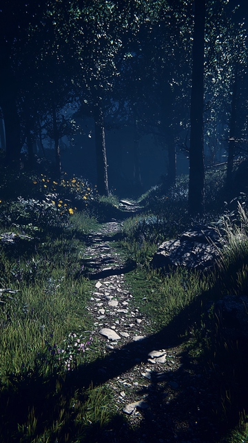 夜晚森林小路
