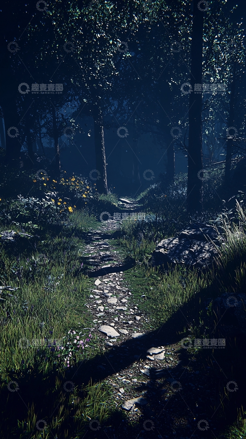 高清大图下载【趣麦麦图】夜晚森林小路