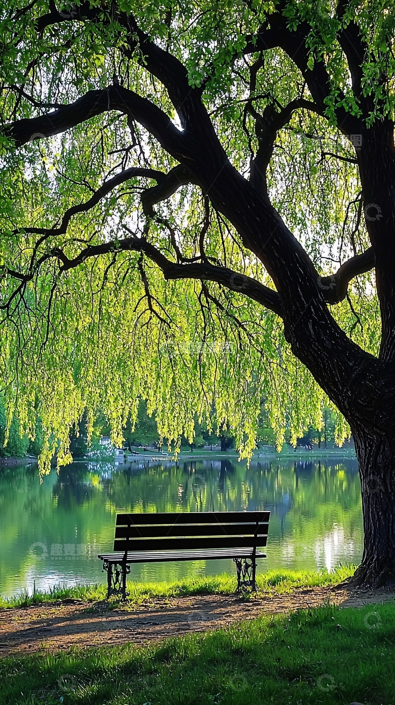 高清大图下载【趣麦麦图】公园长椅湖边垂柳