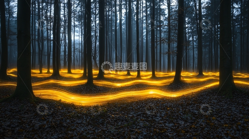 高清大图下载【趣麦麦图】神秘森林中金色光线