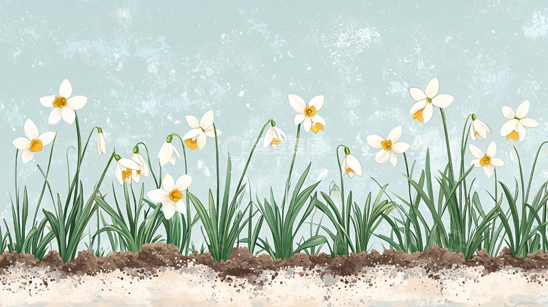 高清大图下载【趣麦麦图】白底黄心水仙花田园风