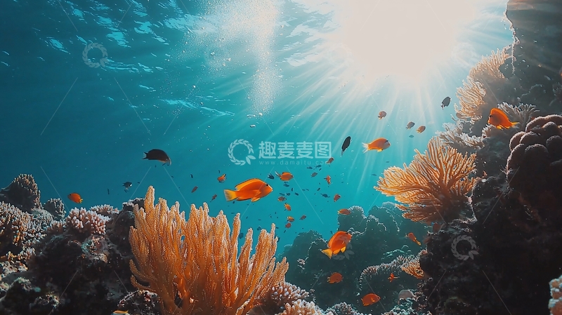 高清大图下载【趣麦麦图】阳光透过海水照射珊瑚礁
