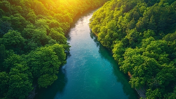 阳光下的绿色河流