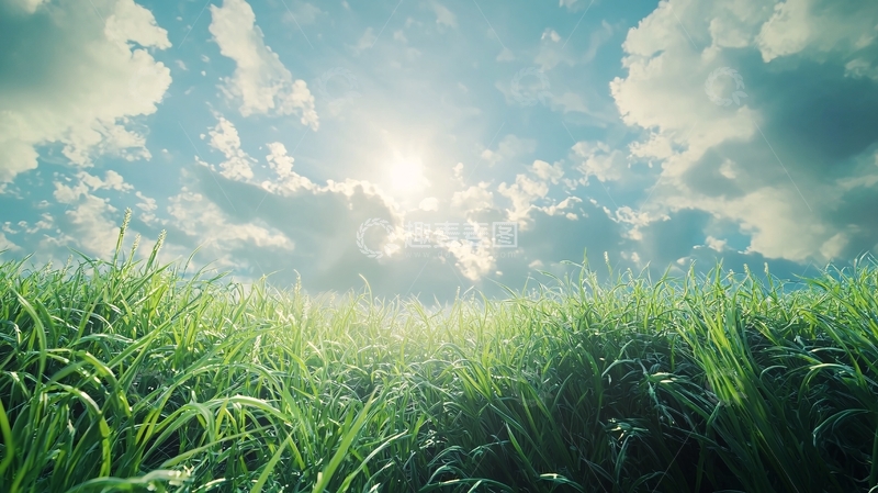 高清大图下载【趣麦麦图】阳光透过云层照射在青草地上