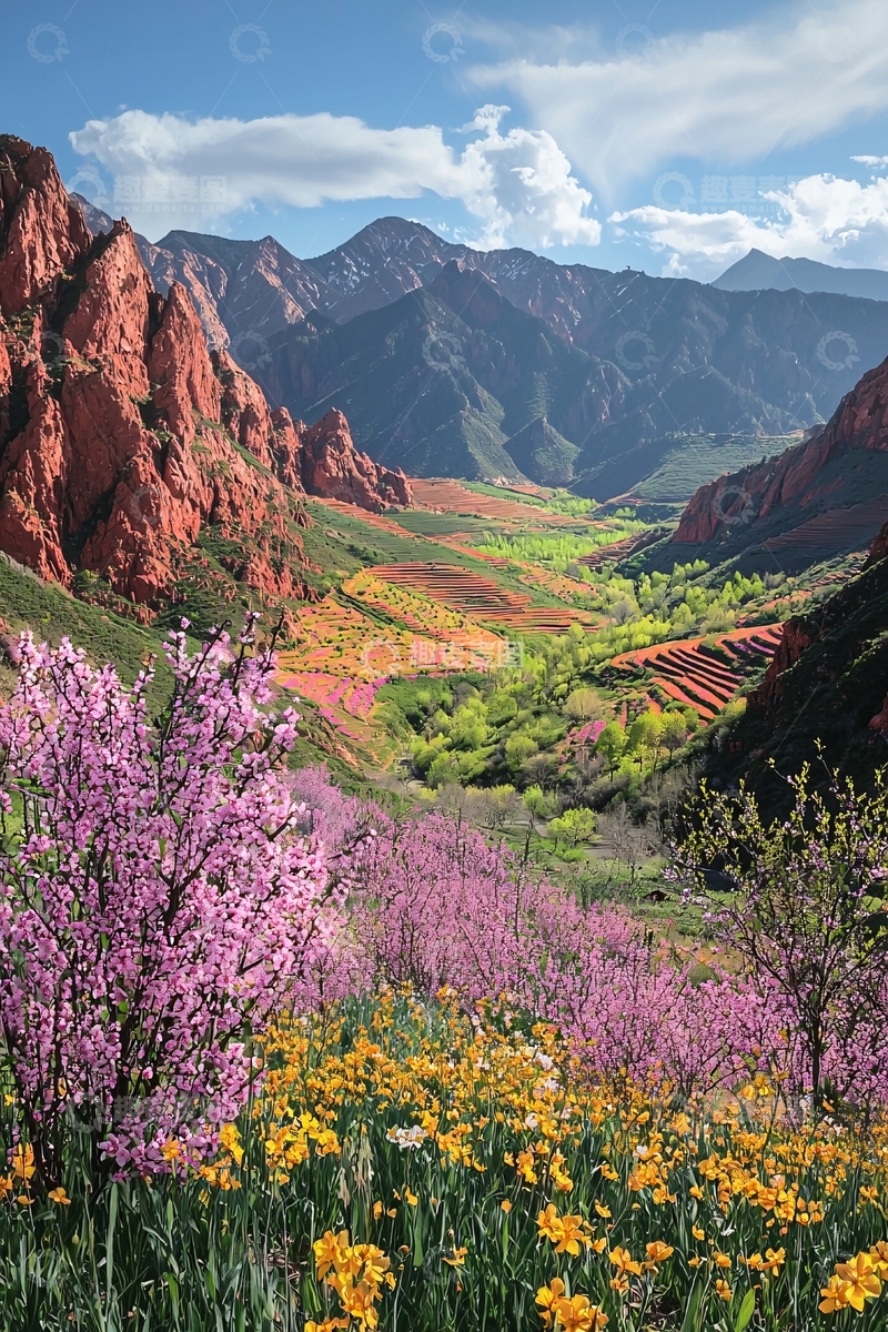 高清大图下载【趣麦麦图】山谷中的鲜花盛开