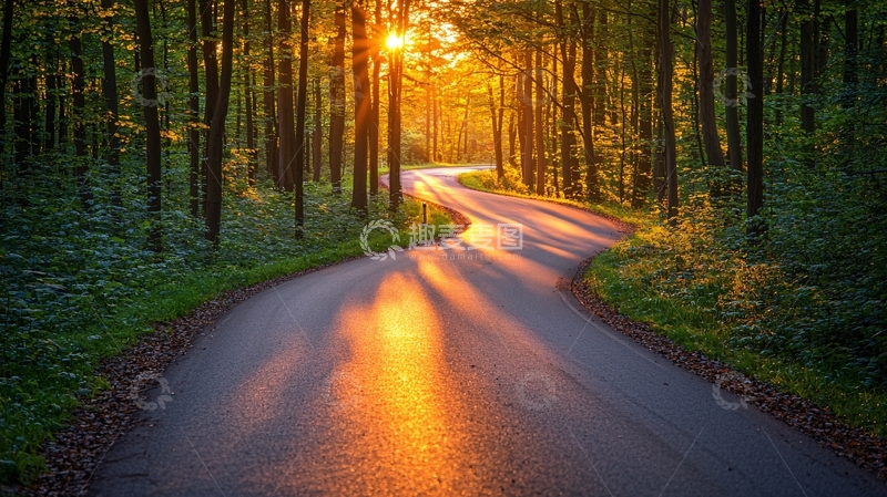高清大图下载【趣麦麦图】林间公路阳光洒落