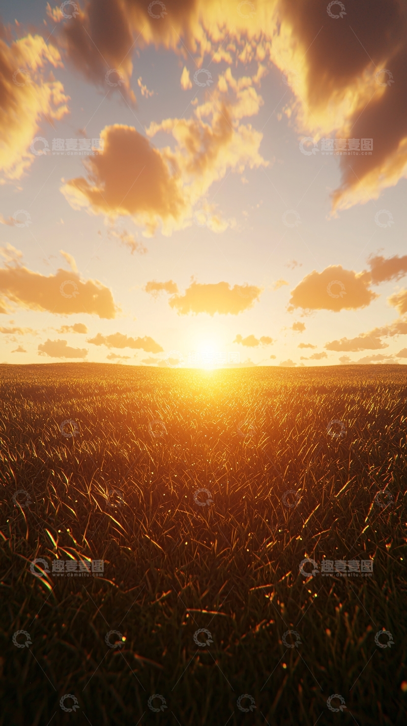 高清大图下载【趣麦麦图】麦田日落