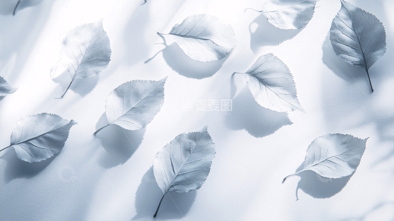 高清大图下载【趣麦麦图】浅色调飘落的树叶