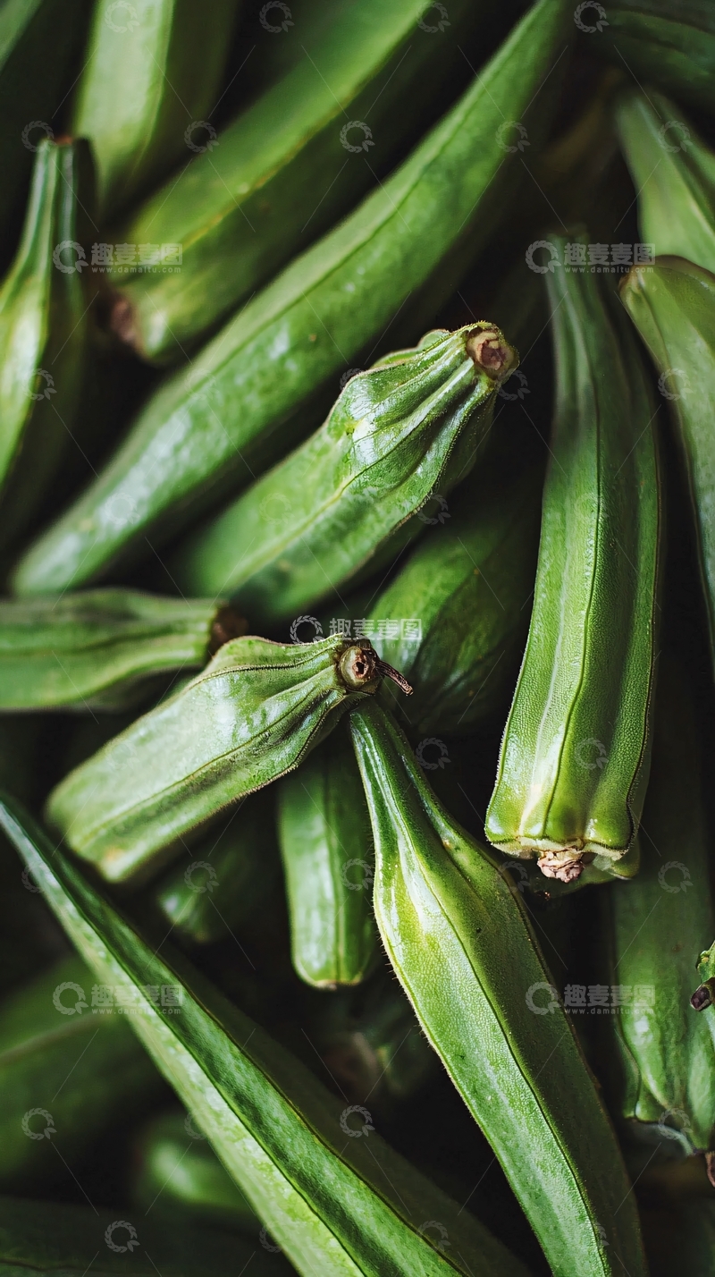 高清大图下载【趣麦麦图】新鲜翠绿罗汉果特写