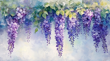 紫藤花水彩画
