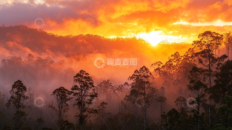 高清大图下载【趣麦麦图】山峦日出雾气森林