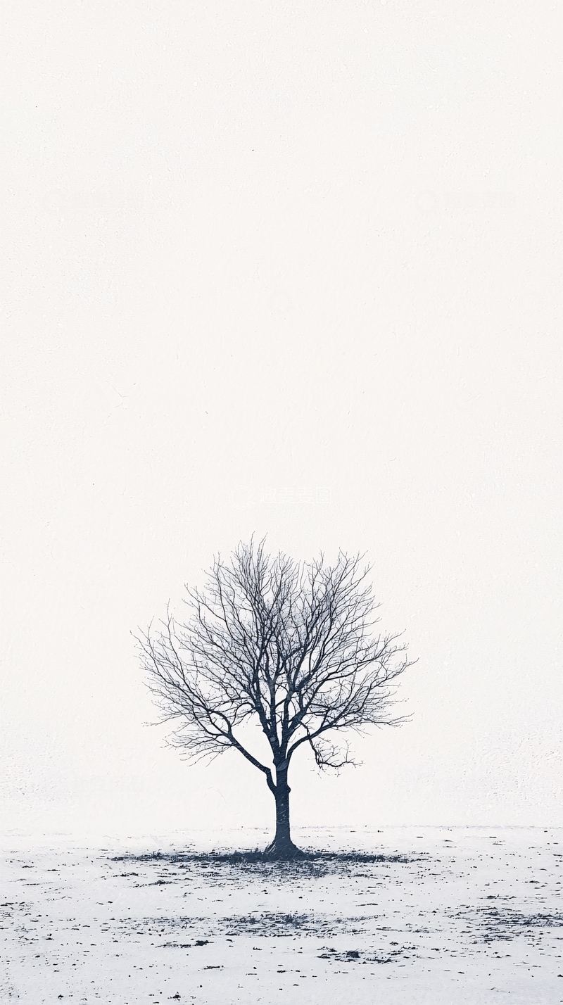 高清大图下载【趣麦麦图】极简冬季树木风景