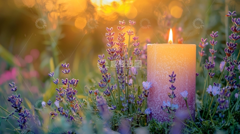 高清大图下载【趣麦麦图】夕阳下薰衣草旁的蜡烛