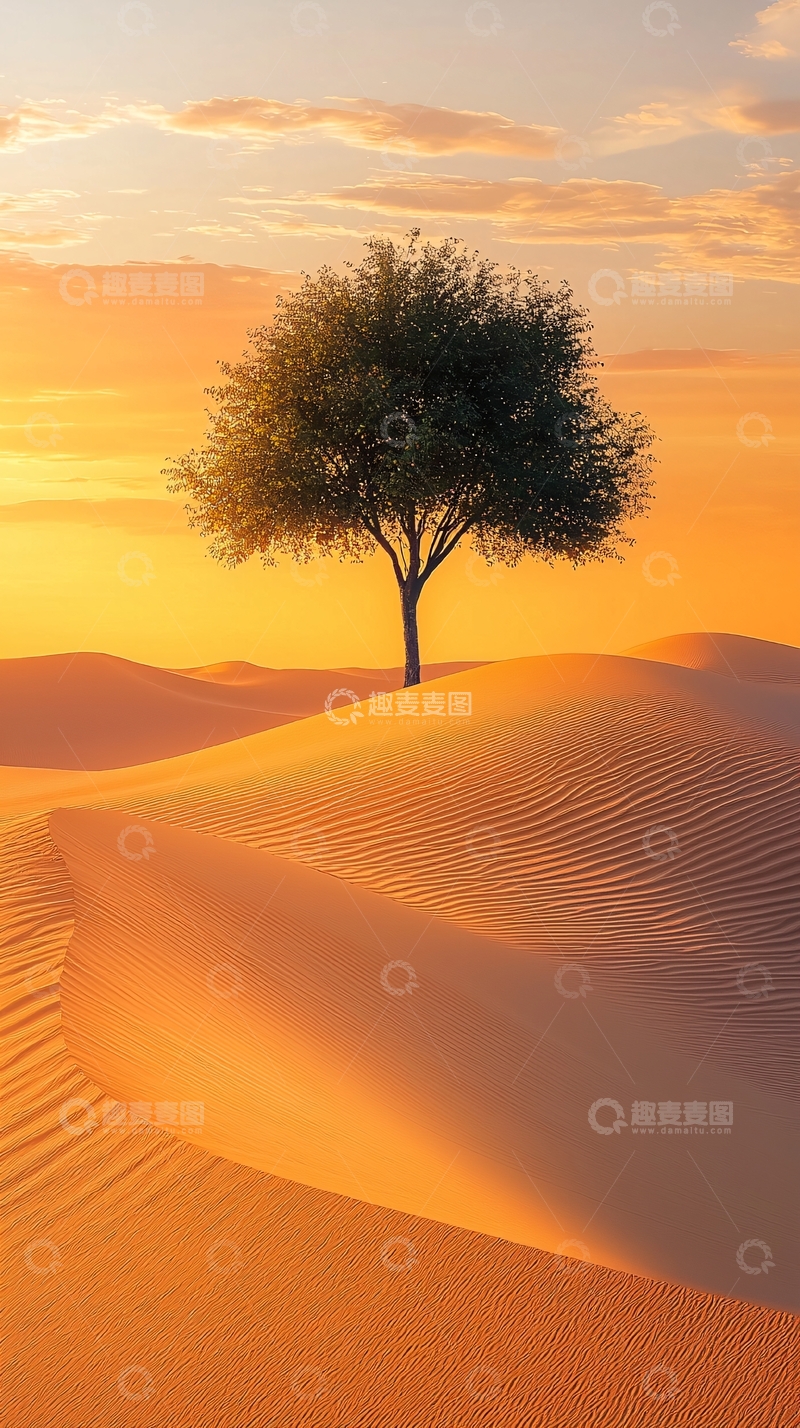 高清大图下载【趣麦麦图】沙漠中的孤独的树