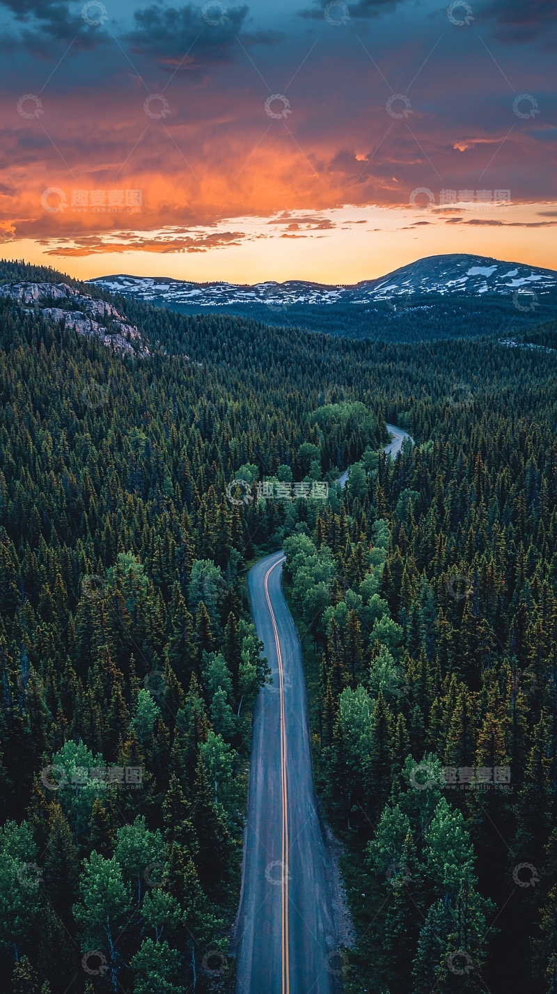 高清大图下载【趣麦麦图】蜿蜒道路穿过森林
