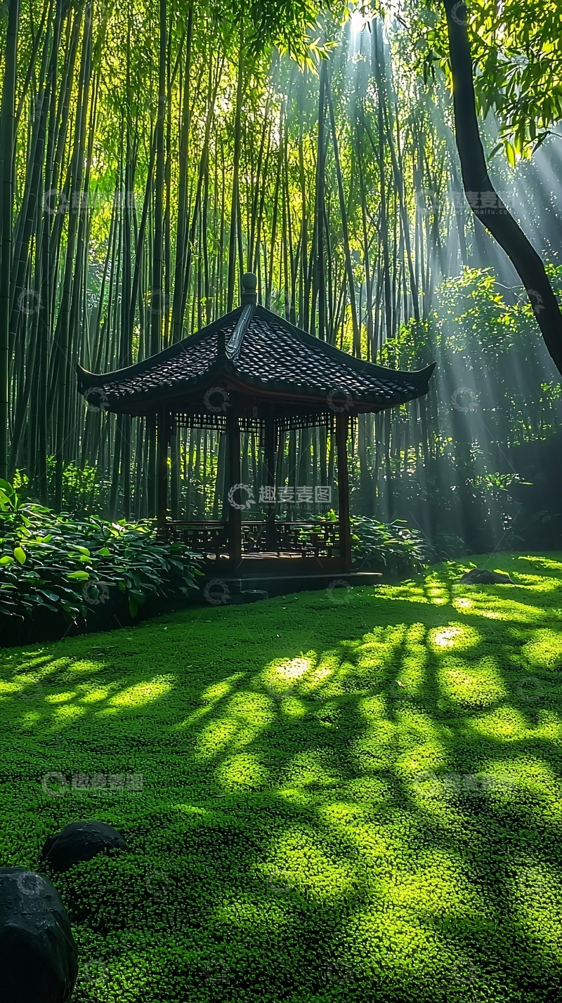 高清大图下载【趣麦麦图】竹林小亭