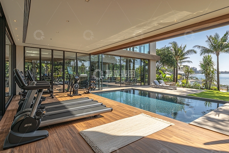 高清大图下载【趣麦麦图】别墅泳池健身房