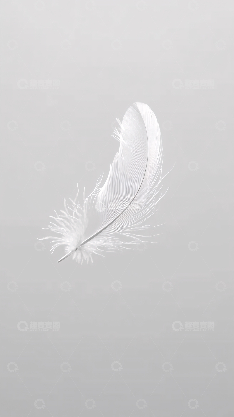 高清大图下载【趣麦麦图】白色羽毛