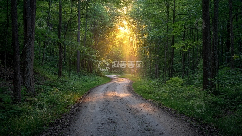 高清大图下载【趣麦麦图】林间小路阳光穿透