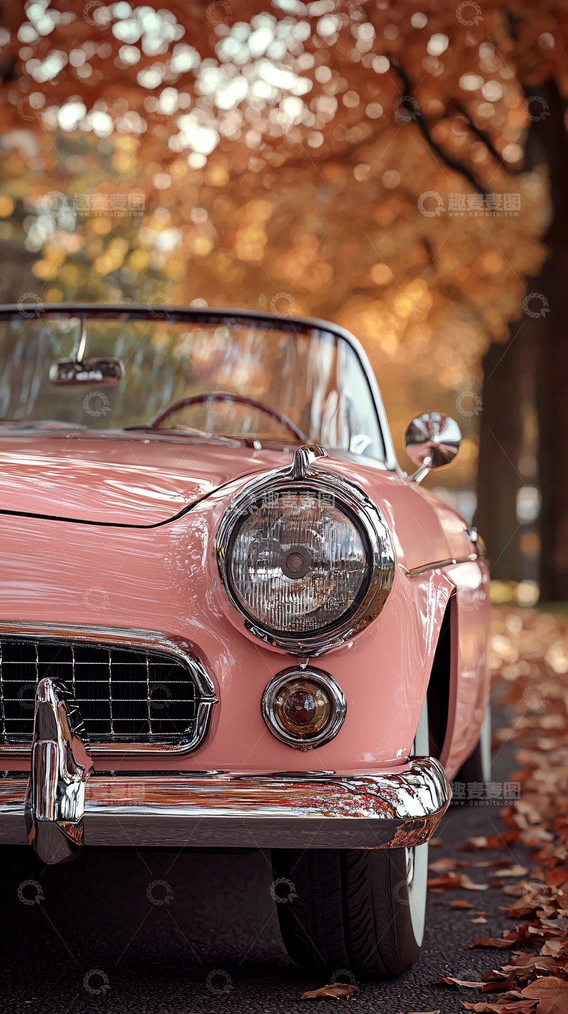高清大图下载【趣麦麦图】粉色老爷车
