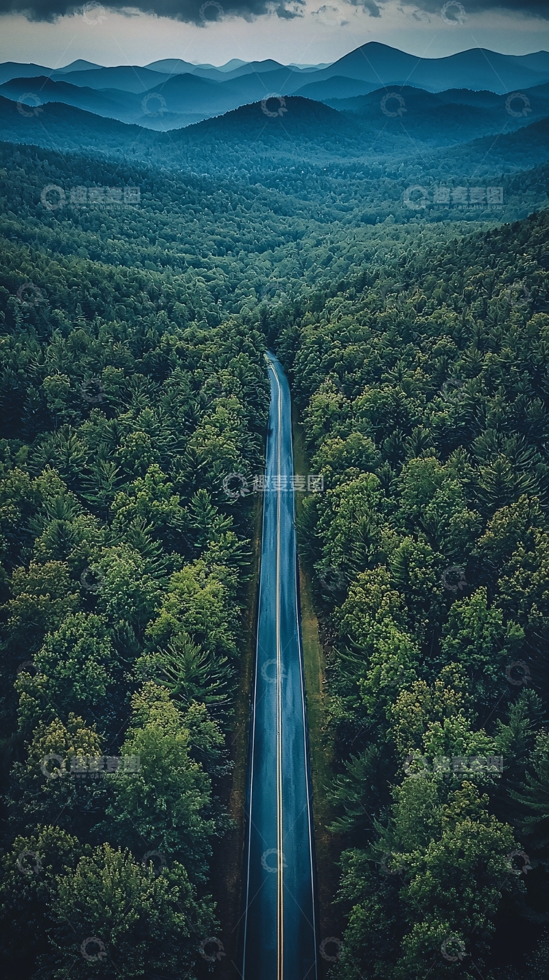 高清大图下载【趣麦麦图】森林中的公路