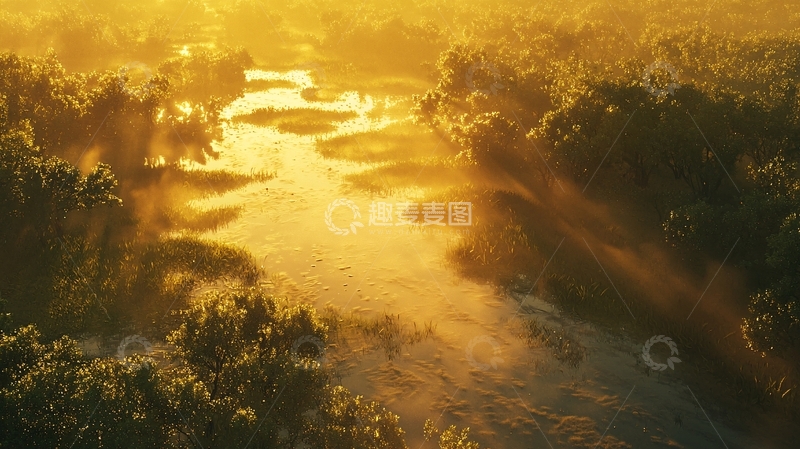 高清大图下载【趣麦麦图】清晨阳光下的河流湿地