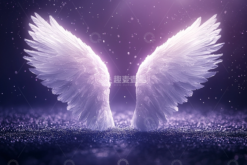 高清大图下载【趣麦麦图】光辉闪耀的白色翅膀