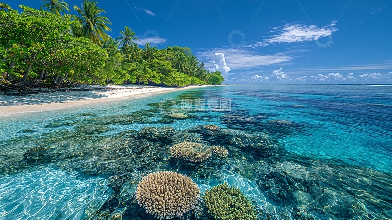 高清大图下载【趣麦麦图】热带海滩珊瑚礁景色