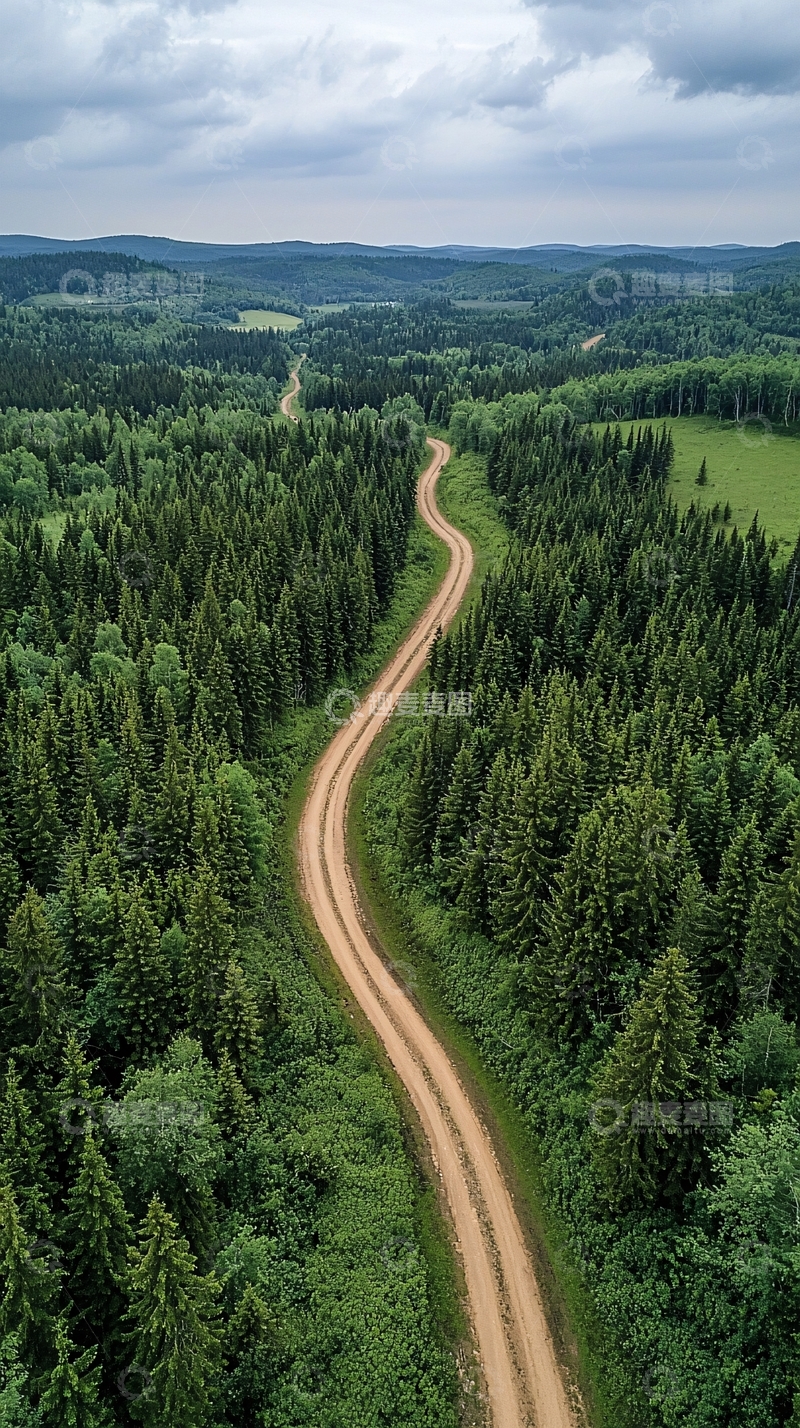 高清大图下载【趣麦麦图】森林中的蜿蜒小路