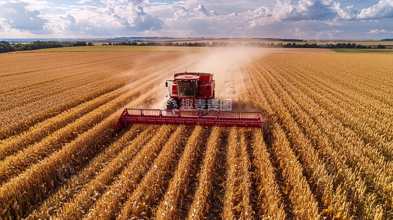 高清大图下载【趣麦麦图】收割机在麦田里收割小麦