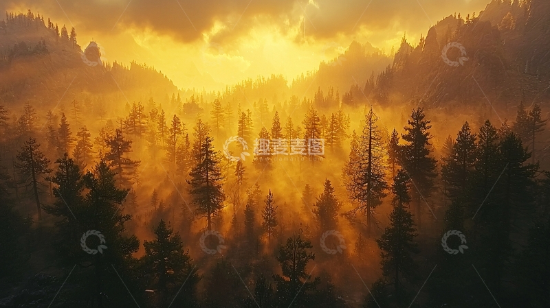 高清大图下载【趣麦麦图】金色阳光洒在森林上