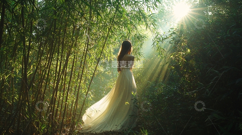 高清大图下载【趣麦麦图】竹林