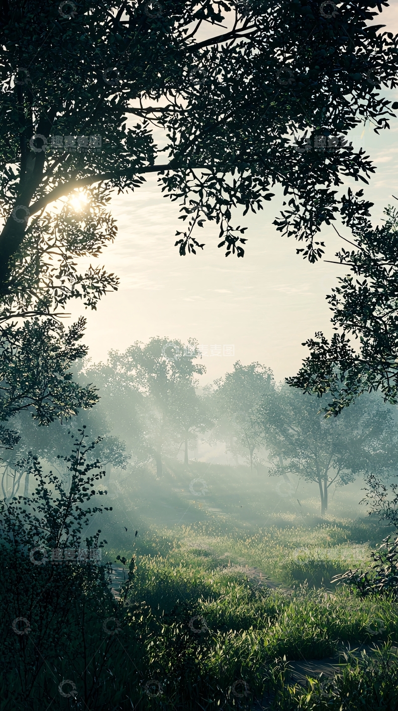 高清大图下载【趣麦麦图】清晨森林树林雾气