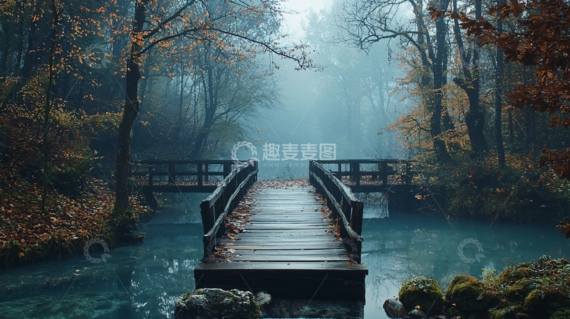 高清大图下载【趣麦麦图】雾气森林木桥