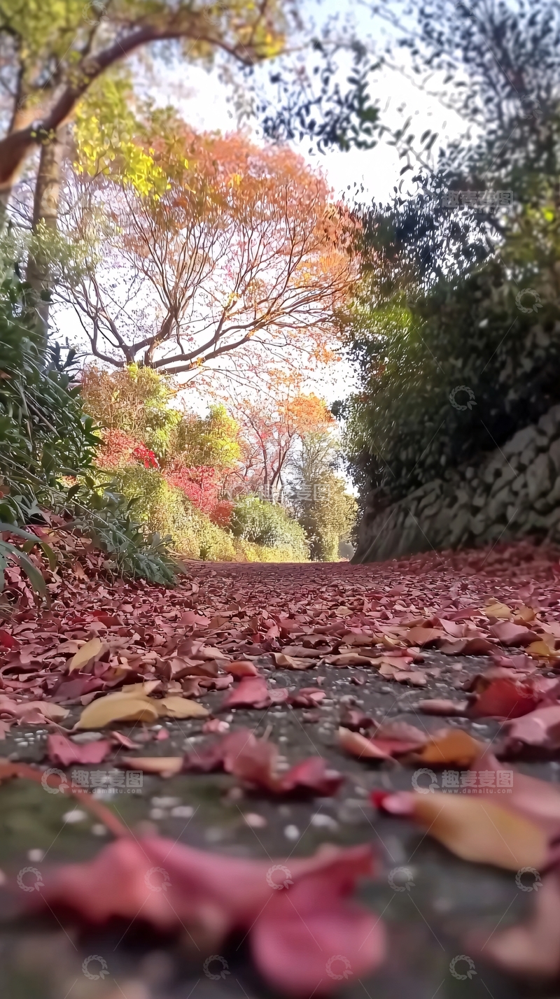 高清大图下载【趣麦麦图】秋叶小路