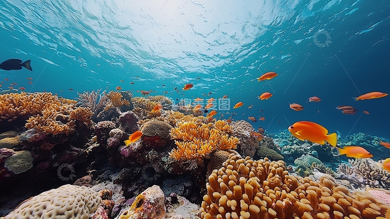 高清大图下载【趣麦麦图】阳光透过海水照射珊瑚礁