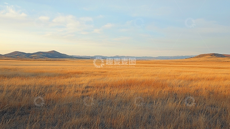 高清大图下载【趣麦麦图】金黄草原广阔景色