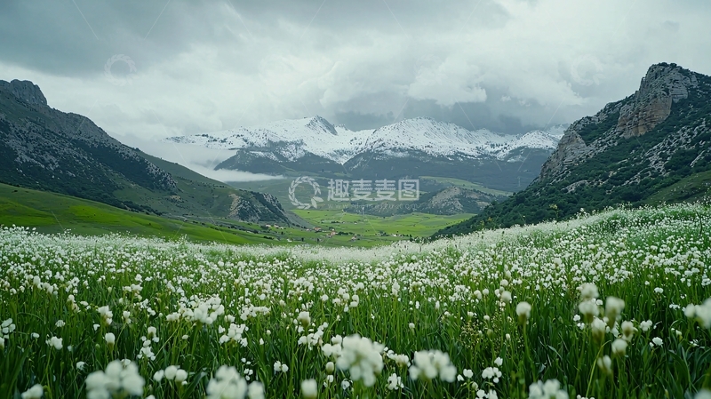 高清大图下载【趣麦麦图】雪山草原花海