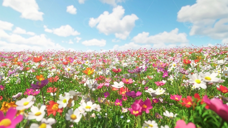 高清大图下载【趣麦麦图】彩色花海