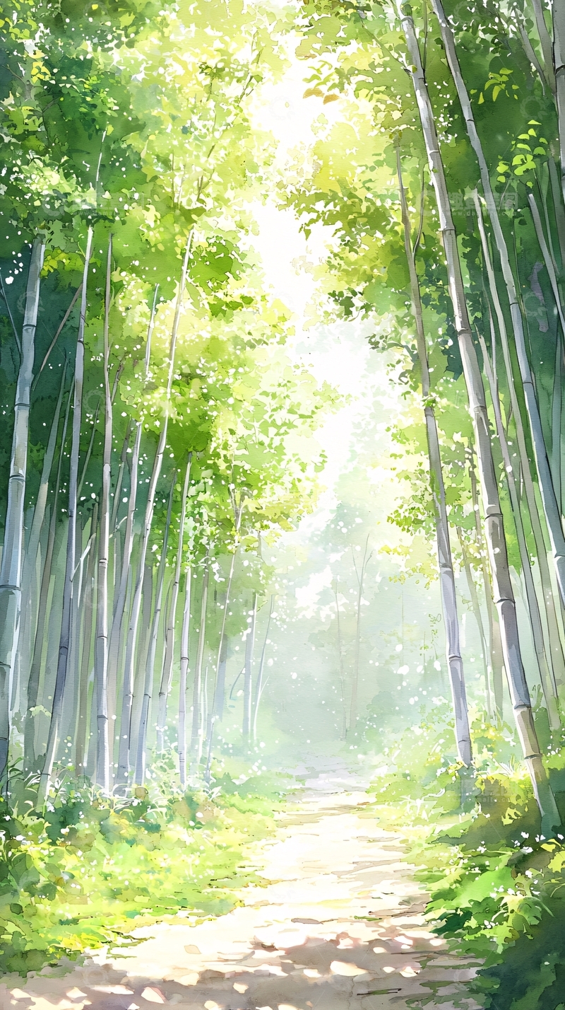 高清大图下载【趣麦麦图】阳光洒满竹林小路