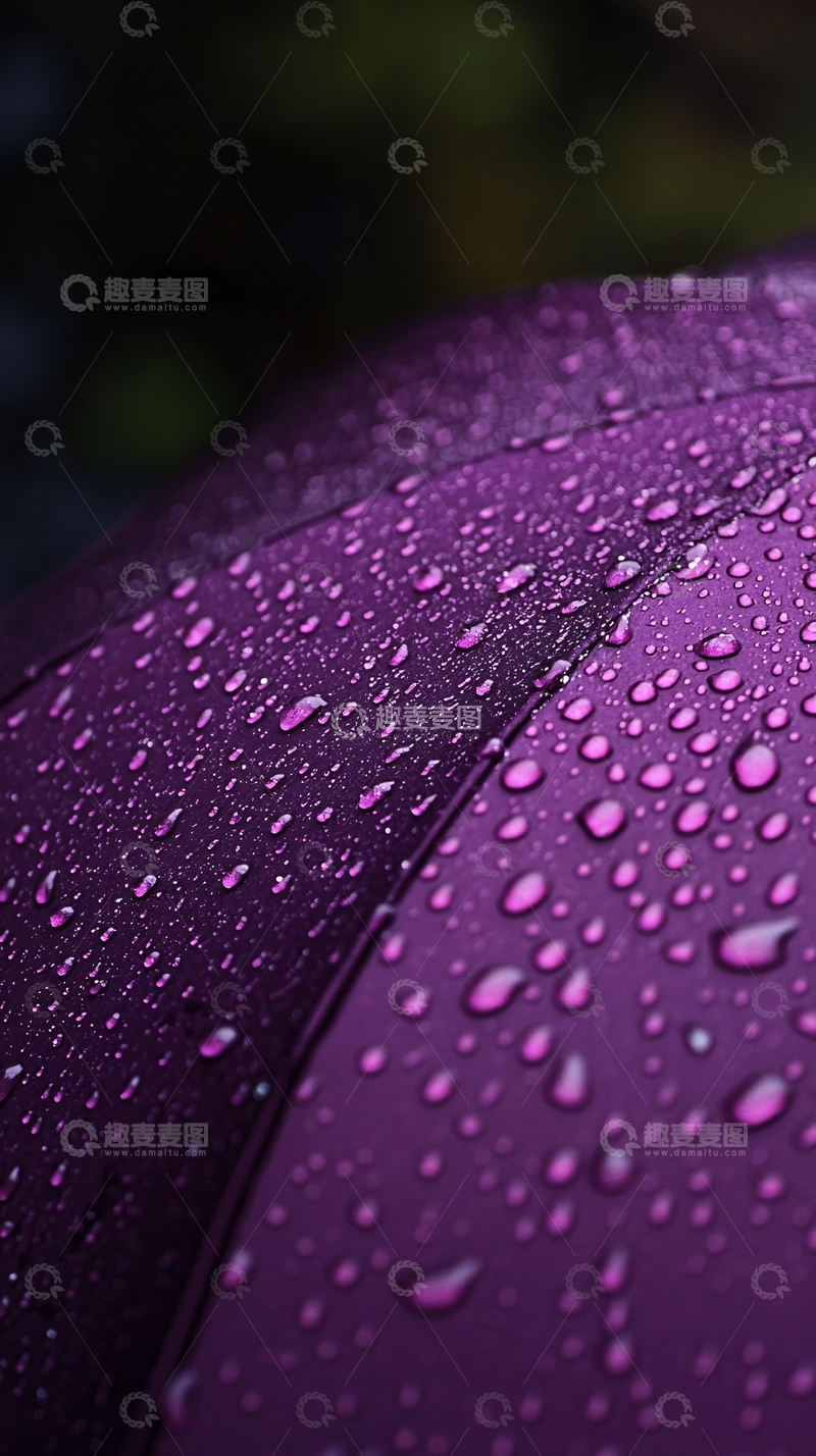 高清大图下载【趣麦麦图】雨天紫色雨伞特写
