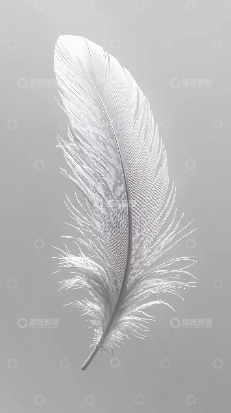 高清大图下载【趣麦麦图】白色羽毛