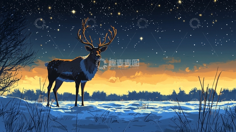 高清大图下载【趣麦麦图】星空下雪地里的雄鹿