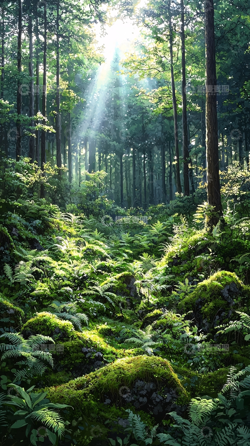 高清大图下载【趣麦麦图】阳光穿透树林的绿色森林