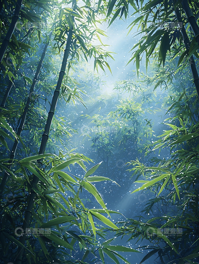 高清大图下载【趣麦麦图】阳光穿过竹林的清新意境