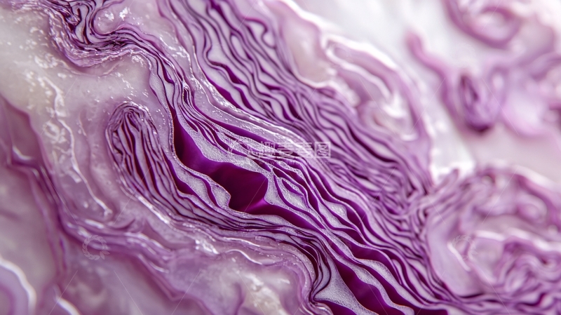 高清大图下载【趣麦麦图】紫甘蓝纹理特写