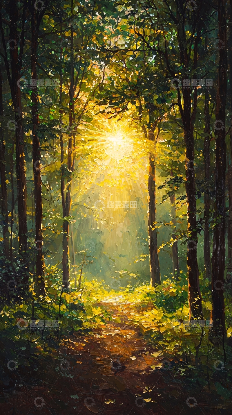 高清大图下载【趣麦麦图】森林小路阳光
