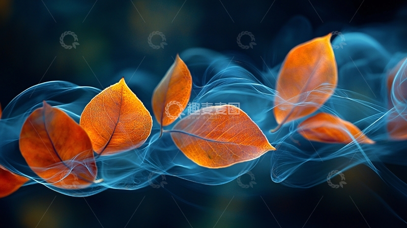 高清大图下载【趣麦麦图】飘动橙色树叶蓝色烟雾